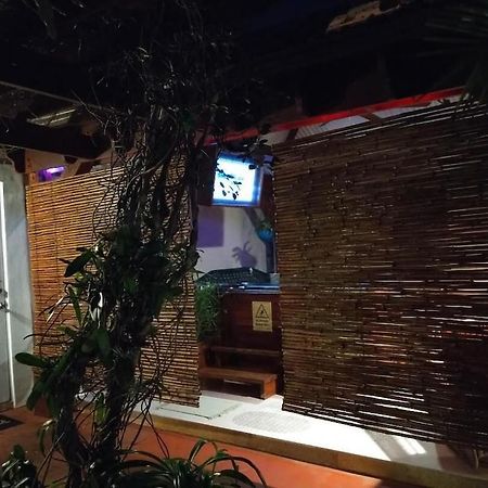Tampa Bay Beautiful Apartment And Private Jacuzzi 外观 照片