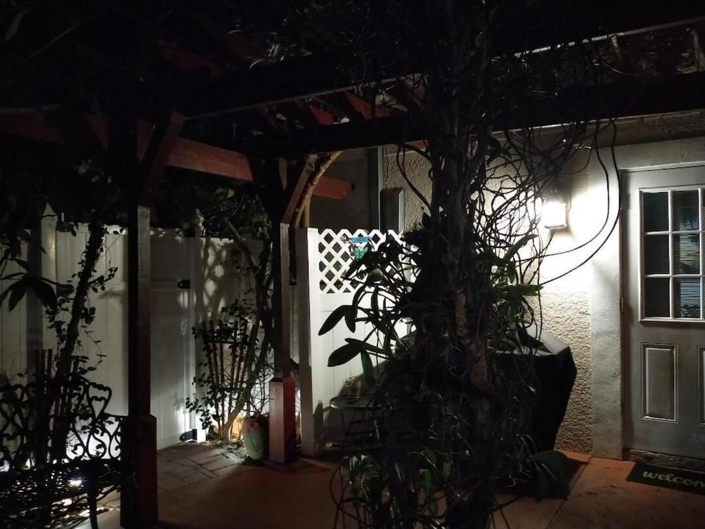 Tampa Bay Beautiful Apartment And Private Jacuzzi 外观 照片