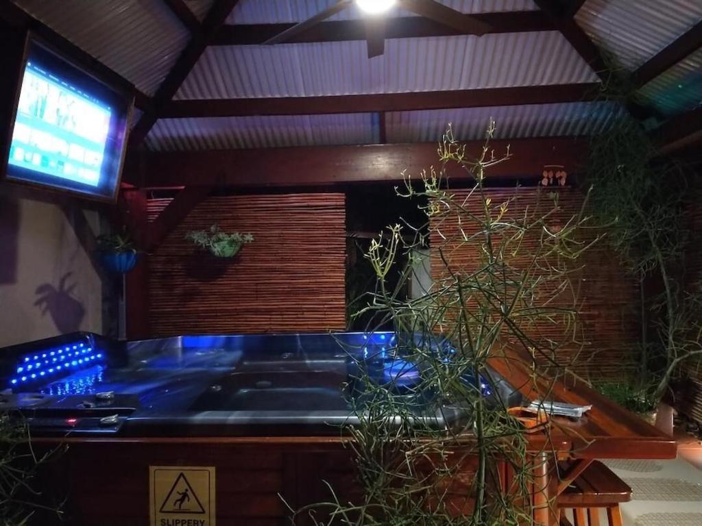 Tampa Bay Beautiful Apartment And Private Jacuzzi 外观 照片