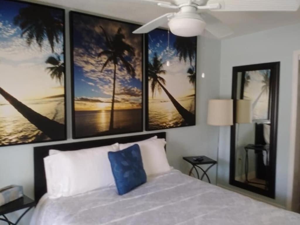 Tampa Bay Beautiful Apartment And Private Jacuzzi 外观 照片