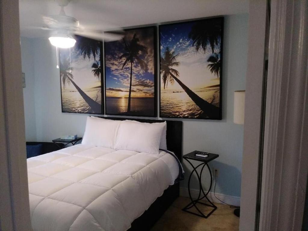 Tampa Bay Beautiful Apartment And Private Jacuzzi 外观 照片