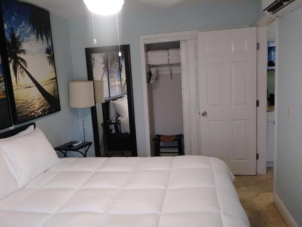 Tampa Bay Beautiful Apartment And Private Jacuzzi 外观 照片